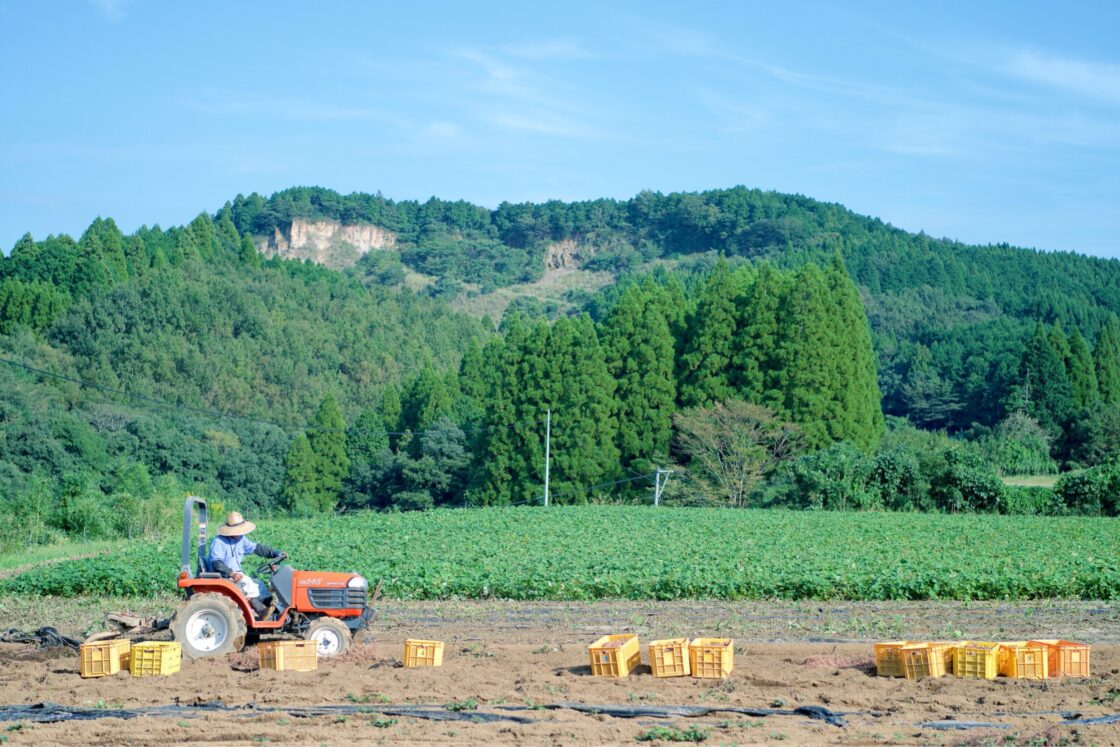 野菜の良さを伝えるために、こだわり抜く